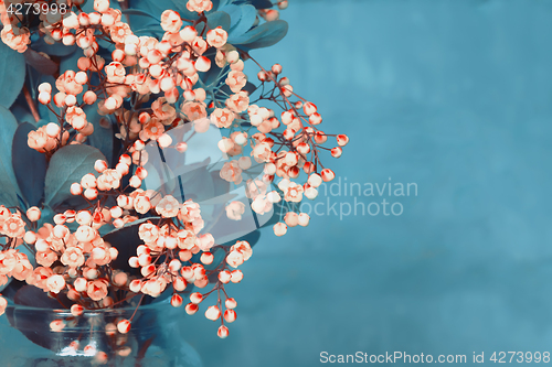 Image of Bouquet Of A Blossoming Barberry