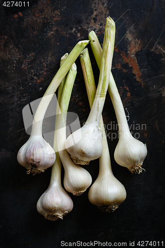 Image of Garlic close up