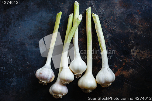 Image of Garlic close up
