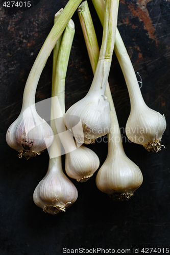 Image of Garlic close up