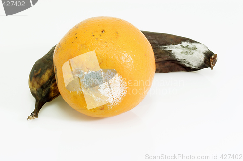 Image of Rotten Fruits