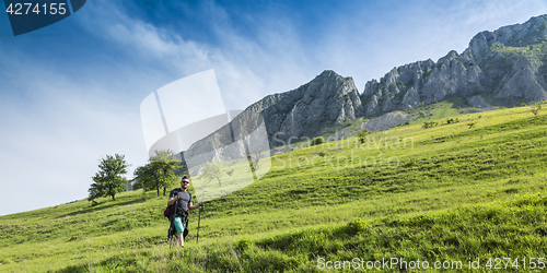 Image of Man Hiking in Green Mountains