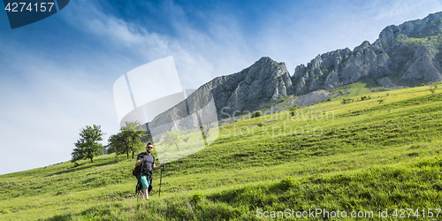 Image of Man Hiking in Green Mountains