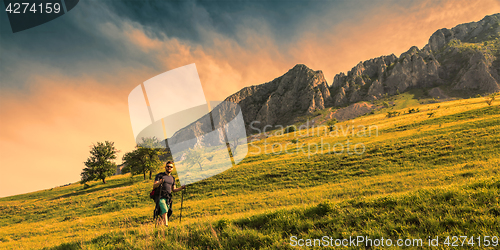 Image of Man Hiking in Green Mountains