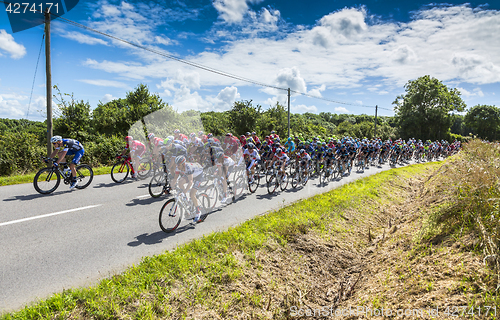 Image of The Peloton - Tour de France 2016