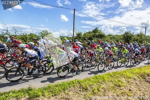 Image of Mark Cavendish inThe Peloton - Tour de France 2016