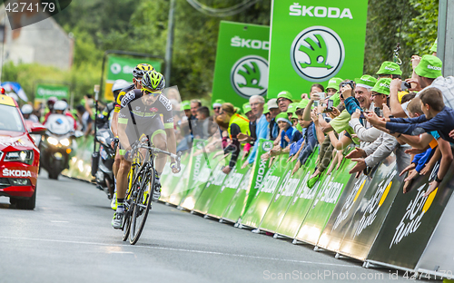 Image of The Cyclist Armindo Fonseca - Tour de France 2016