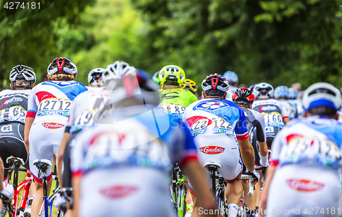 Image of The Peloton - Tour de France 2016