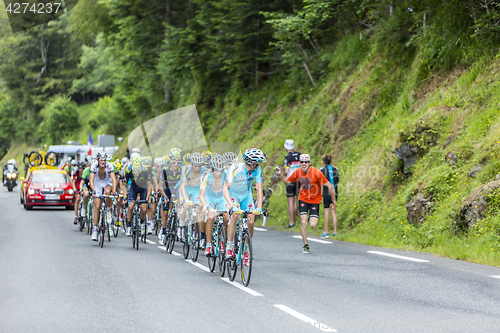 Image of The Peloton - Tour de France 2014