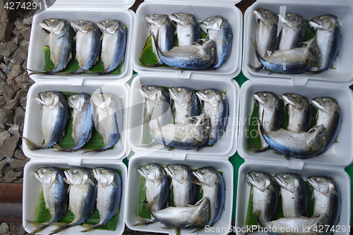 Image of Mae Klong Mackerel fish sold on market