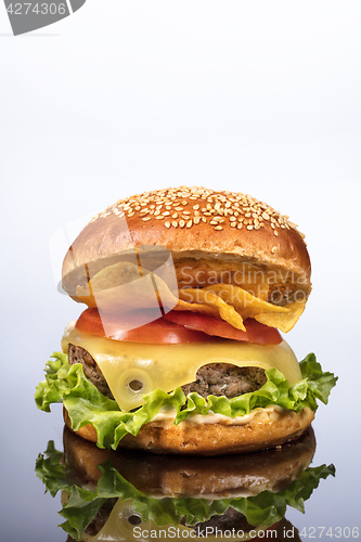 Image of Burger With Vegetables