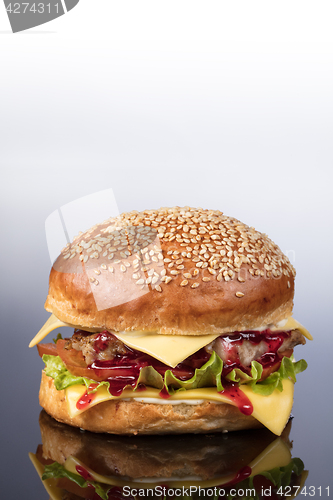 Image of Burger With Vegetables