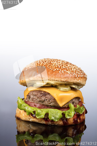 Image of Burger With Vegetables