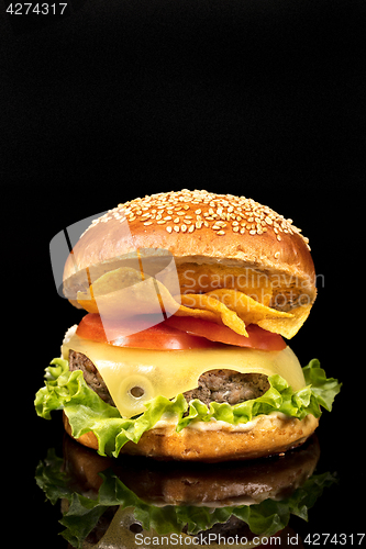 Image of Burger With Vegetables