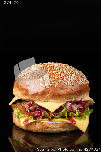 Image of Burger With Vegetables
