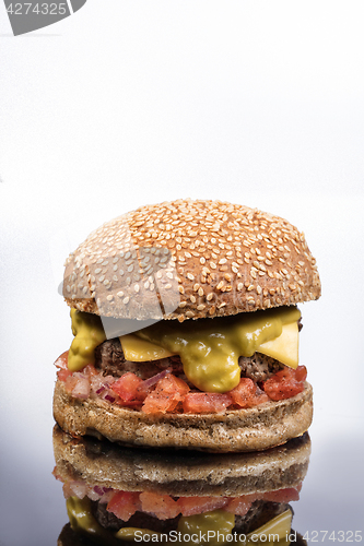 Image of Burger With Vegetables