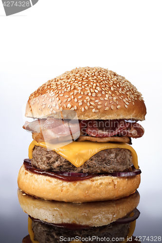 Image of Burger With Vegetables