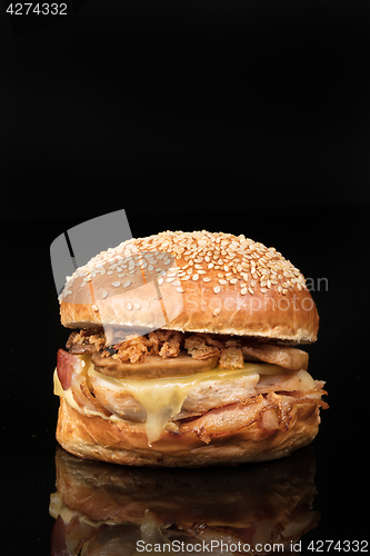 Image of Burger With Vegetables