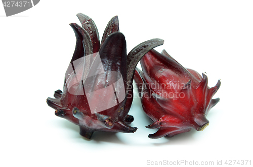 Image of Hibiscus sabdariffa or roselle fruits