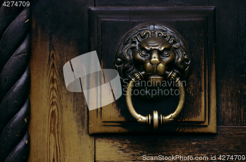 Image of bronze door handle in the form of a lions head