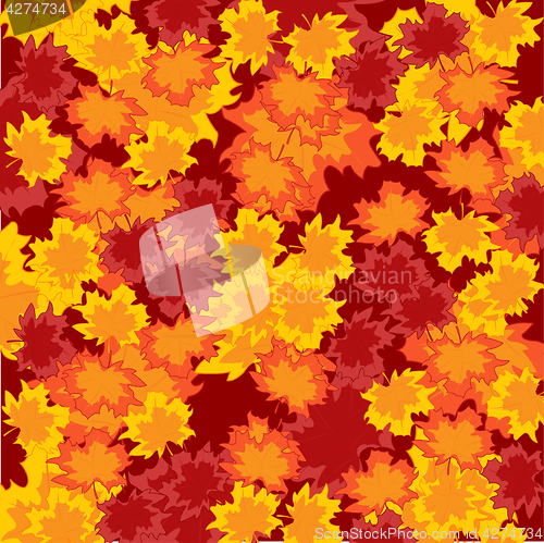 Image of Autumn foliage background
