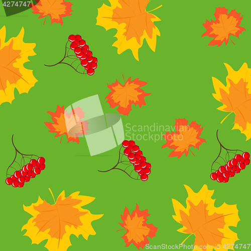 Image of Pattern from berry and foliages