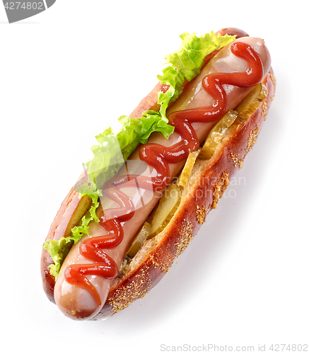 Image of fresh hotdog on white background