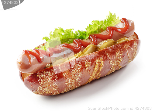 Image of fresh hot dog on a white background