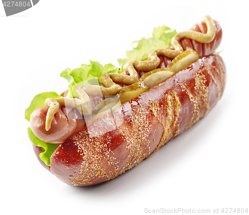 Image of hot dog on white background