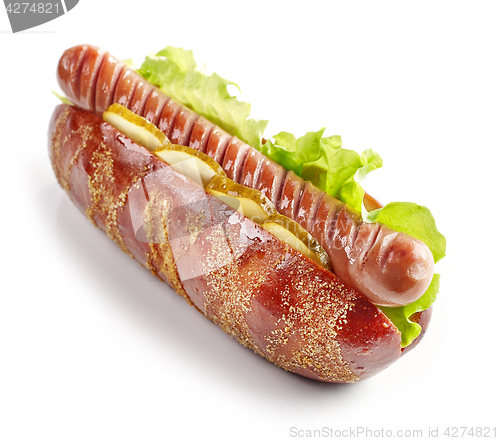 Image of hot dog on white background