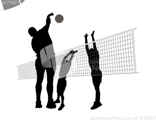 Image of Men playing volleyball