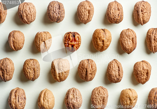 Image of pattern of walnuts