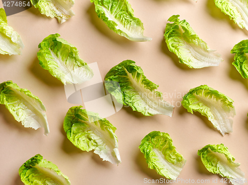 Image of pattern of lettuce leaves