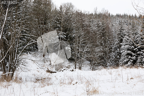 Image of winter landscape Czech Highland