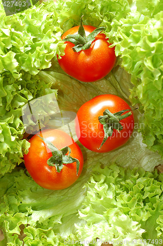 Image of Fresh salad with tomatoes