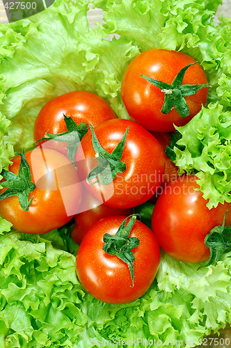 Image of Fresh salad with tomatoes