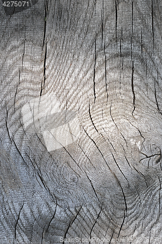Image of interesting texture of wood plank surface