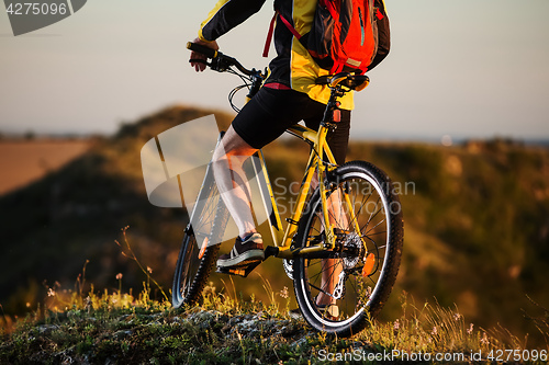 Image of Sporty Man Riding a Bicycle on the Country Road.