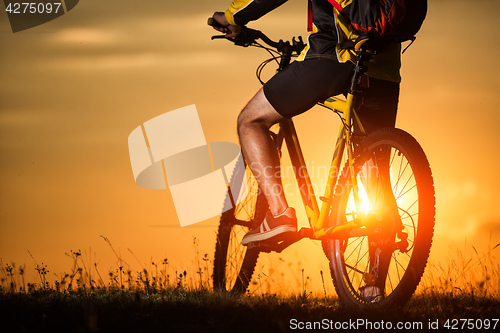 Image of Sporty Man Riding a Bicycle on the Country Road.