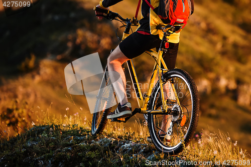 Image of Sporty Man Riding a Bicycle on the Country Road.