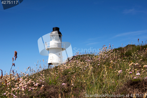 Image of Scilly Isles, Great Britain