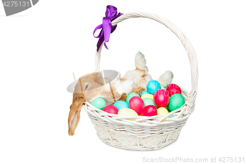 Image of Beautiful domestic rabbit in basket with eggs