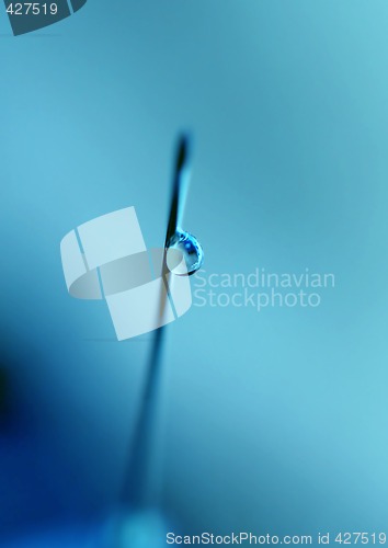 Image of syringe close-up, focus on the drop