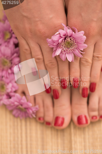 Image of female feet and hands at spa salon