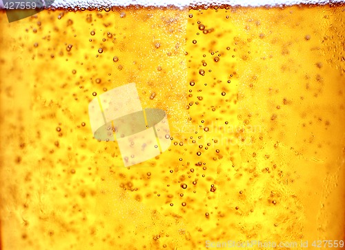 Image of Glass of beer close-up