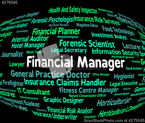 Image of Financial Manager Indicates Employee Occupations And Profit