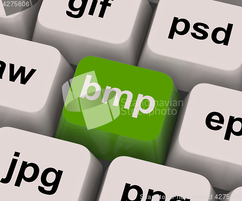 Image of Bmp Key Shows Bitmap Format For Images