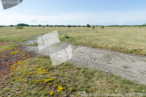 Image of Winding country road in a plain grassland