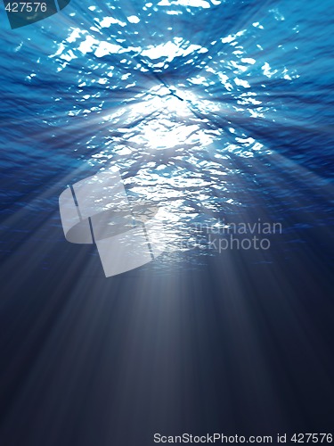 Image of underwater scene