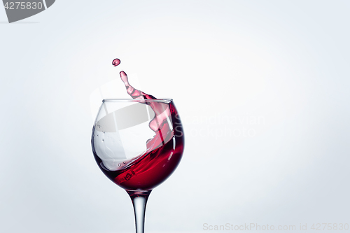 Image of The one wine glass against white